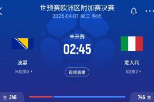 关乎世界杯席位！波黑vs意大利无门线技术，因球场未安装相关设备