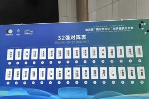 第四届“衢州烂柯杯”世界围棋公开赛32强对阵：党毅飞vs范廷钰