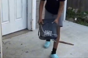 虐待猫咪的处罚方式：母亲强迫儿子以同样方式砸烂PS5主机！